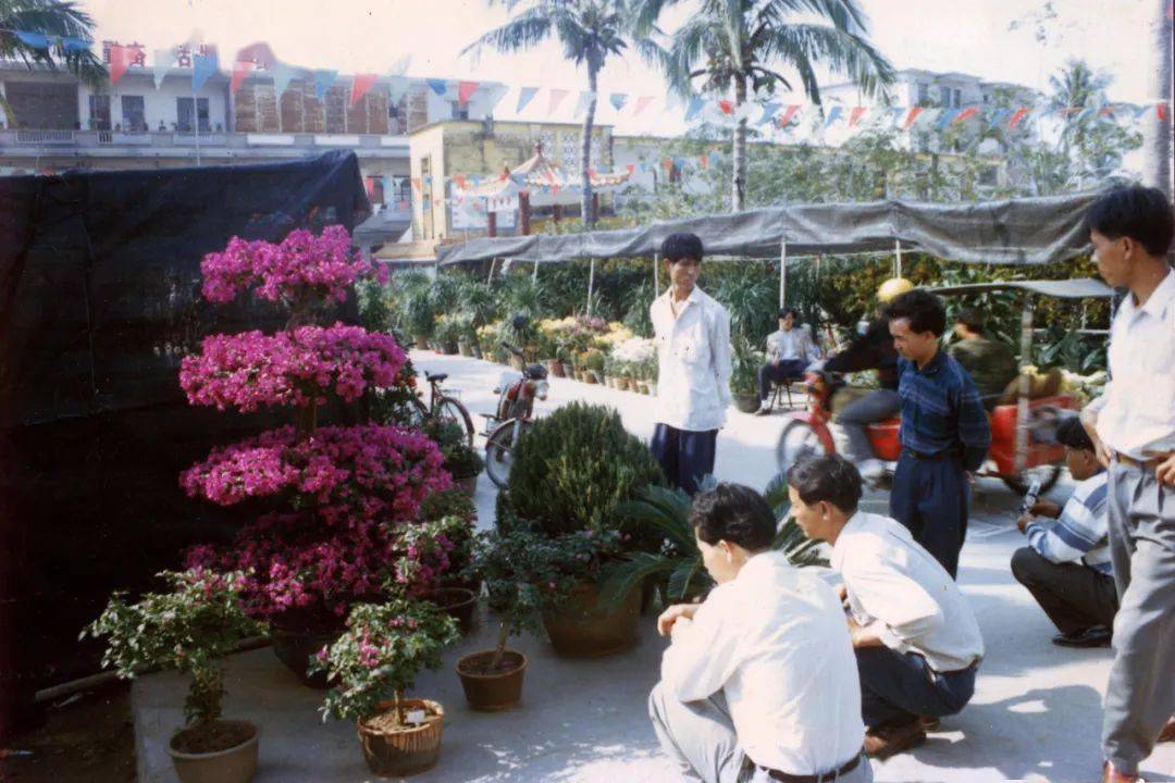 春节花市(陈爱民 摄)二十世纪五十年代的新街老街(杨琼摄)老照片,记载