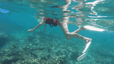 本周成行·送六大好礼【桑洲岛荧光音乐趴】快艇上岛