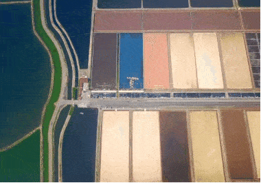 379_265gif 动态图 动图