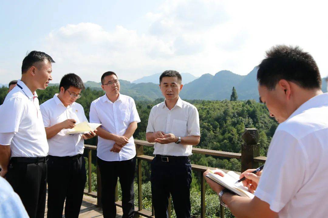 龙滨到龙泉镇,扬武镇调研林下经济产业发展工作_丹寨