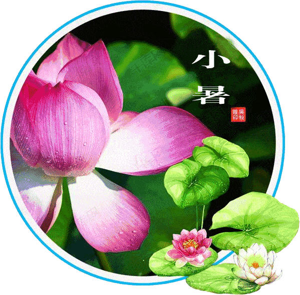 小暑早上好表情包动态图片祝愿你小暑清凉多多健康多多