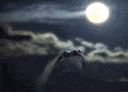 一些强光会刺眼而且,sohow还特意在灯外添加了一层漫反射遮罩,让光线