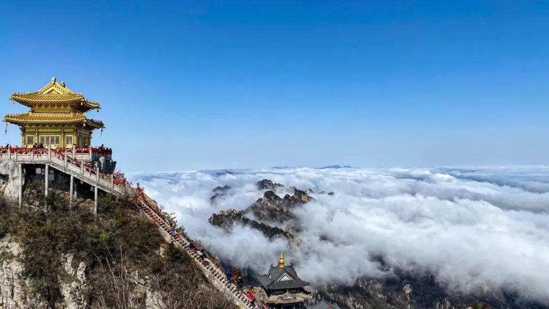 塞弗顿生物老君山观光游