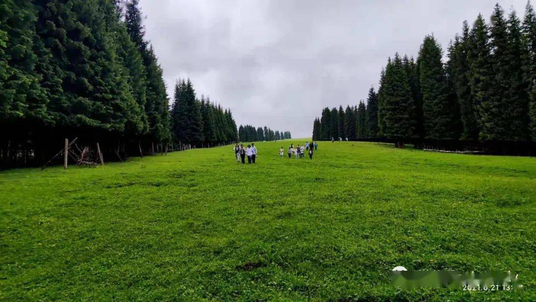 (费用aa)7月11日乌鲁木齐南山牧场解放沟徒步穿越赏山