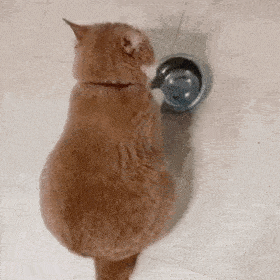 挖掘设计圈