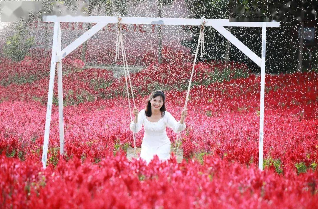 这个7月,南宁这些景点通通免门票啦~_花花