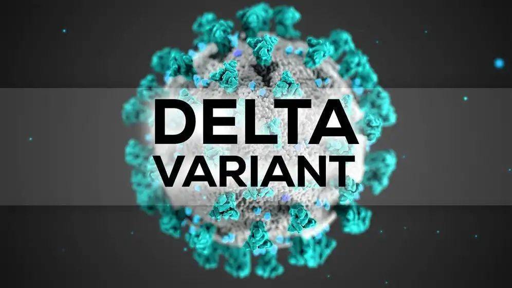 125人确诊美国夏令营引发聚集感染delta变异病毒已传遍全美