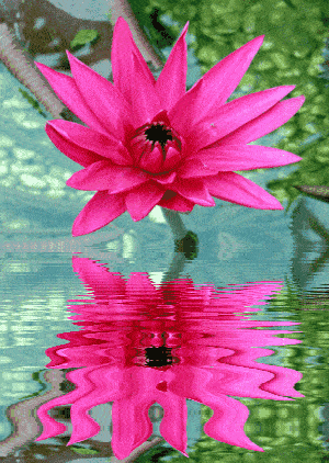 300_422 竖版 竖屏