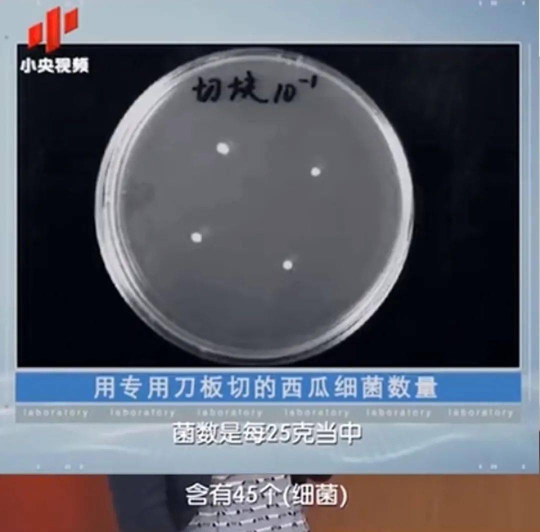 进行了细菌培养实验