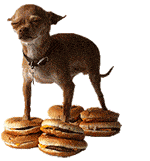 透明沙雕小动物 疯狂摆动动态表情包