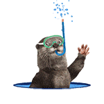 透明沙雕小动物 疯狂摆动动态表情包