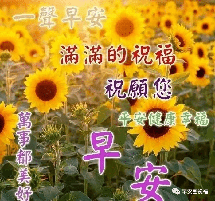 亲爱的朋友,朋友,早上好