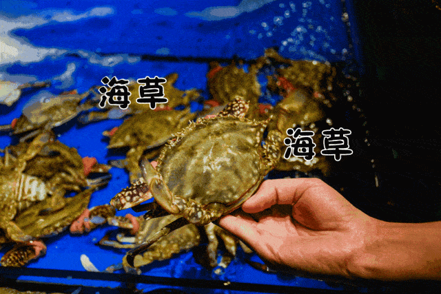 【迎客春】238元享605元蒸汽桑拿海鲜餐厅套餐,粥底(干贝淮山) 椒盐虾