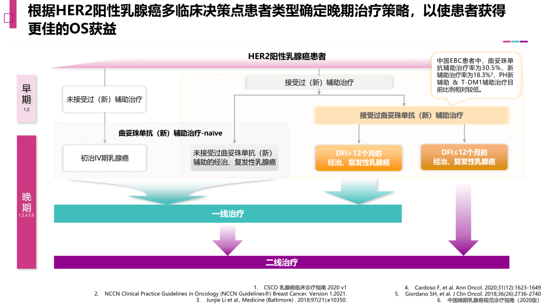 为汝,朝朝暮暮—her2阳性乳腺癌的全程管理