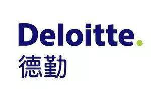 实习【deloitte】project intern ics