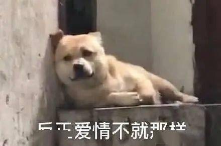 表情包 | 现实版《回家的诱惑》有多狗血?_封心