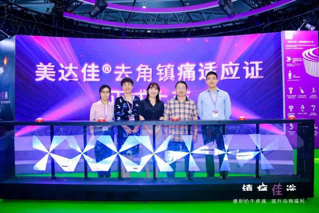 婷婷,反刍事业部技术部负责人张俊杰共同启动"美达佳犊牛去角镇痛适应