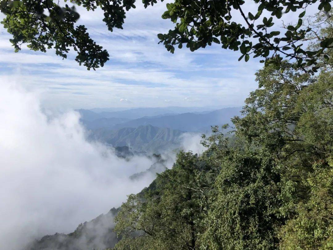 想和你分享云雾山上这专属夏日的浪漫