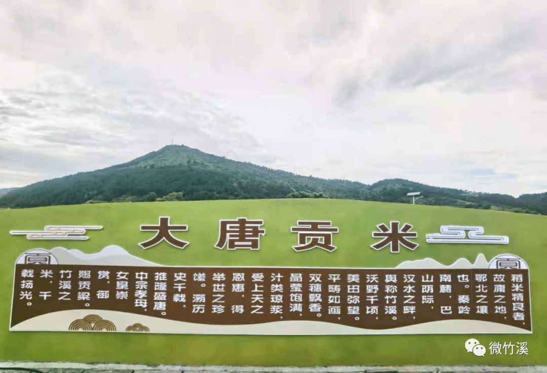 促进农村经济转型发展,让旅游氛围浓起来,切实发挥贡米基地在