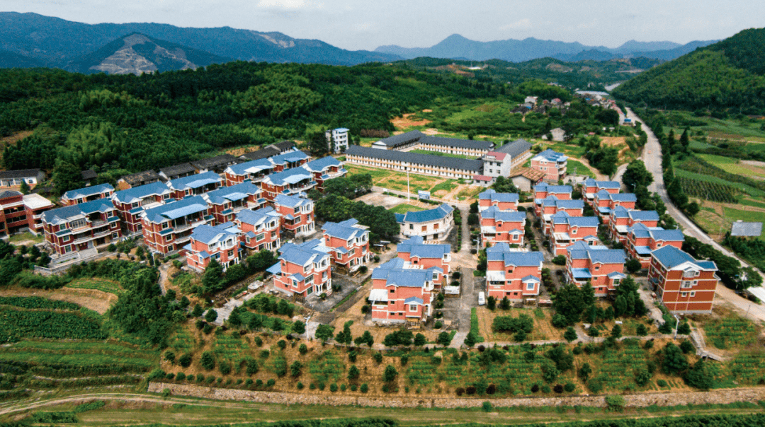 在建瓯的这些美丽乡村 眼看绿水青山 耳听鸟语虫鸣 细嗅草木清香 一