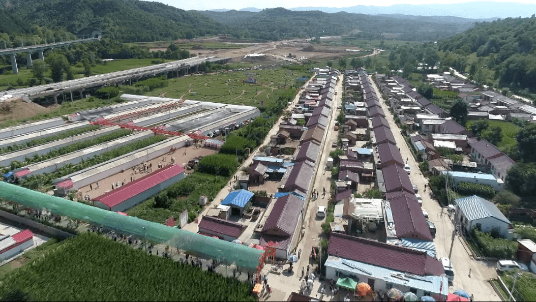 【乡村振兴我先行】 华亭市安口镇:农业现代化为乡村振兴蓄势赋能