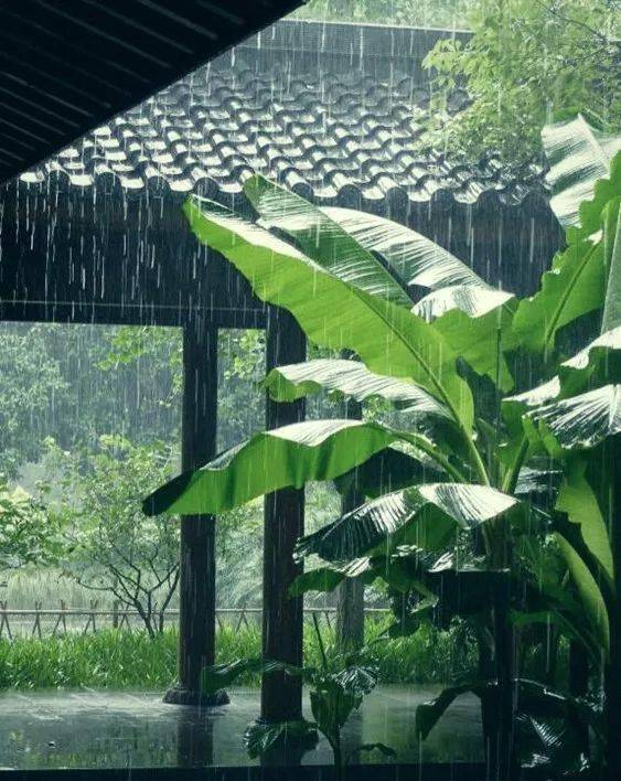 赶上雨天 便在窗边静听 雨声阵阵,敲打窗沿 残荷雨声,芭蕉夜雨