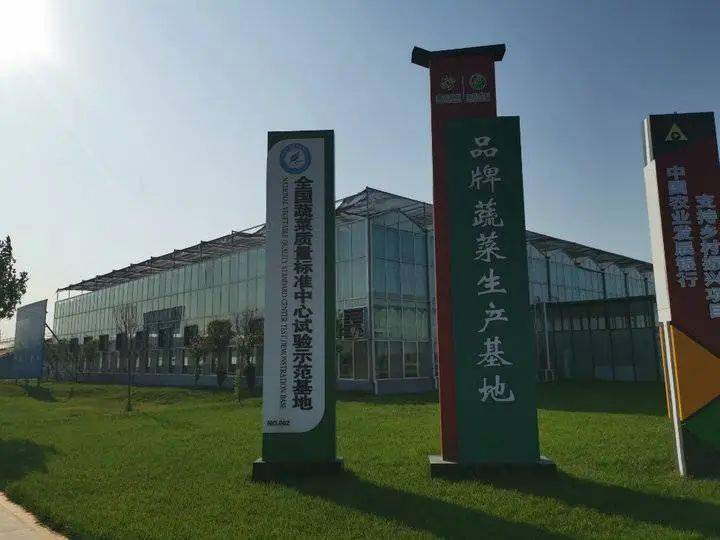 寿光模式再升级:这里崛起中国蔬菜产业硅谷