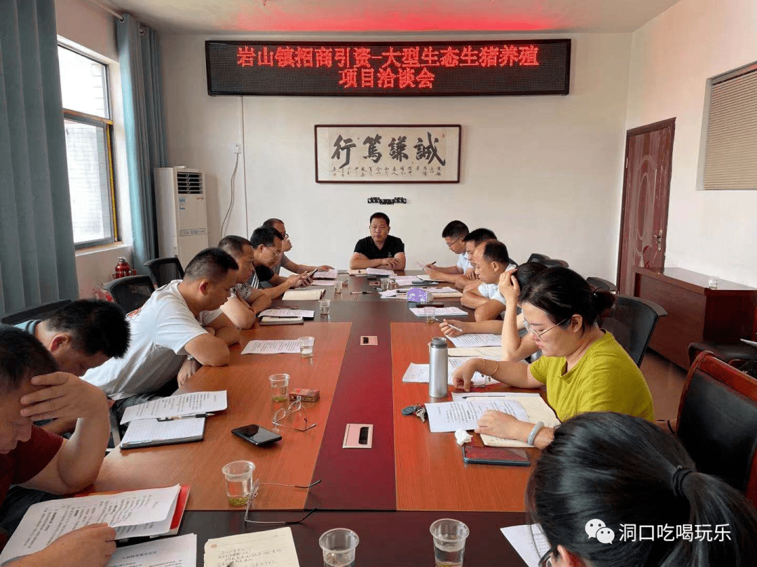 洞口这个镇召开招商引资项目洽谈会预计投资246亿元