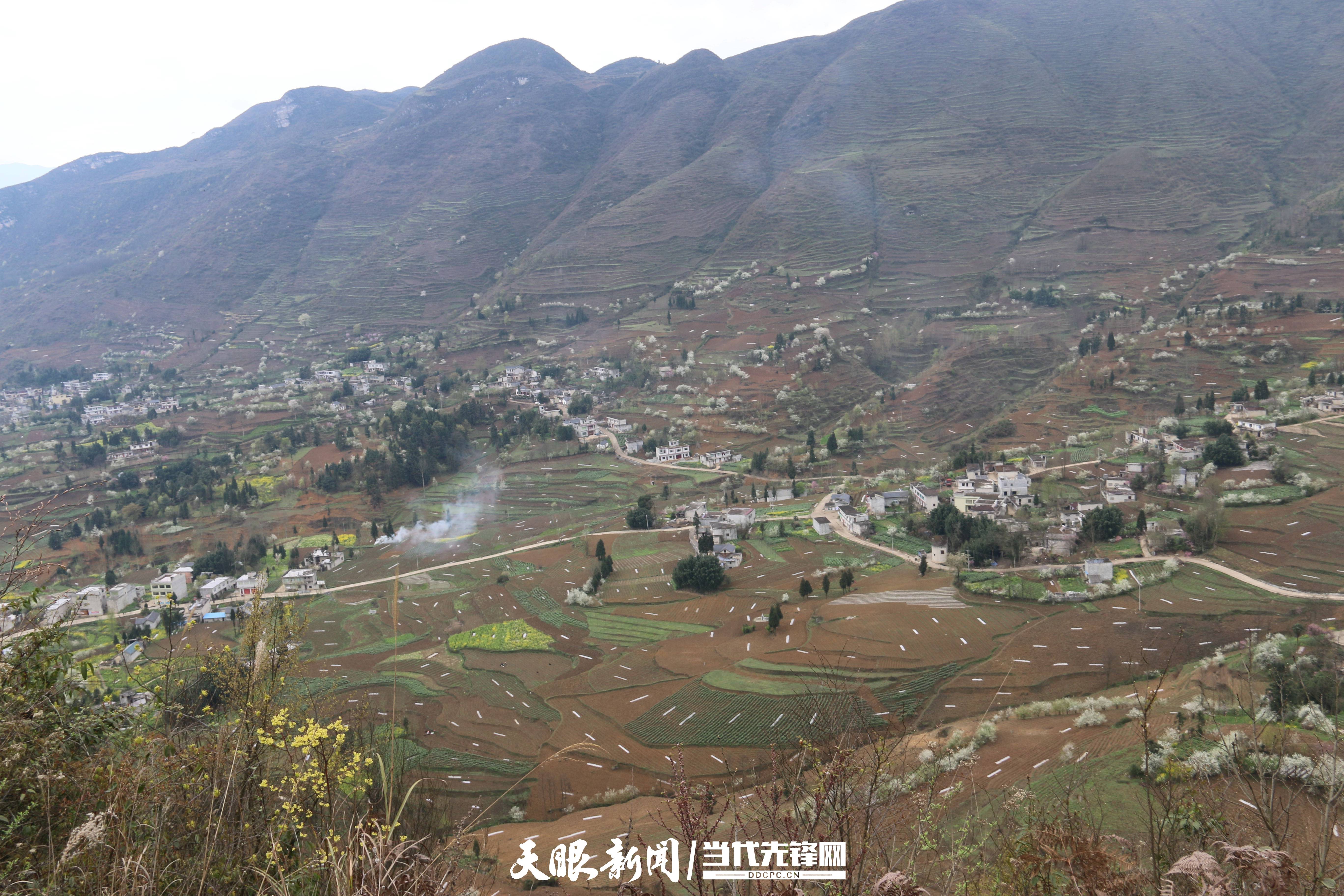 大山乡松鹤村水质好,冬季温暖,夏季凉爽,是发展水产养殖的不二选择