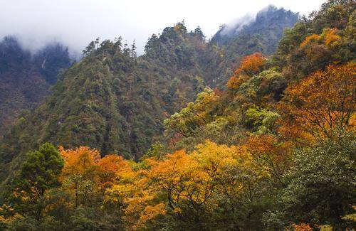 雅安:东拉山大峡谷
