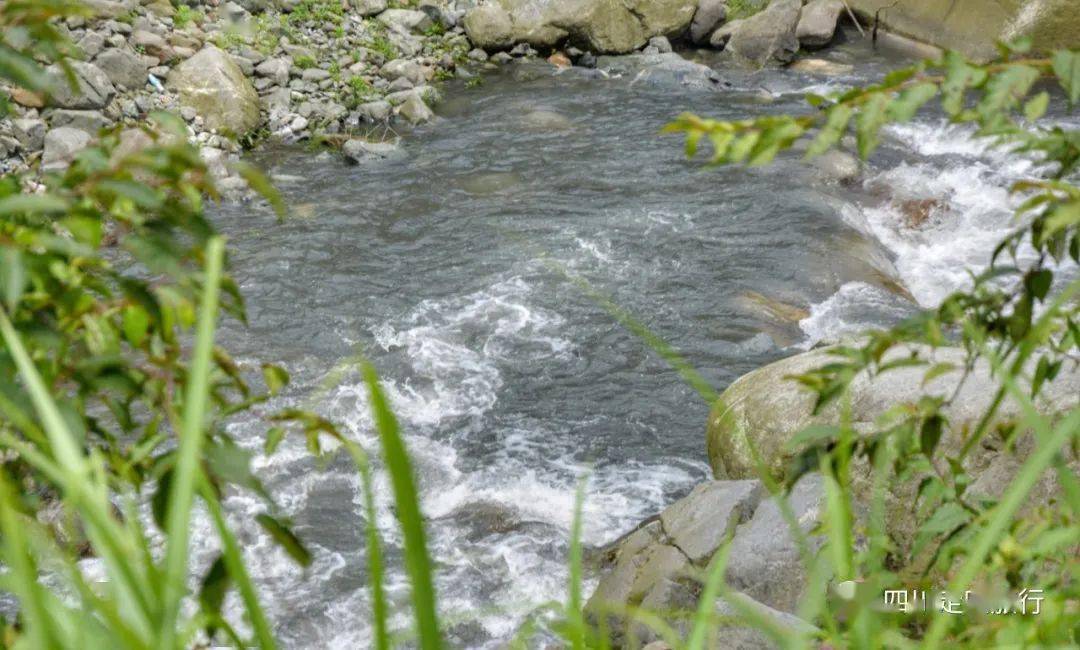 【一日游|周四】"熊猫香山 秘境戏水"观紫色花海 戏水