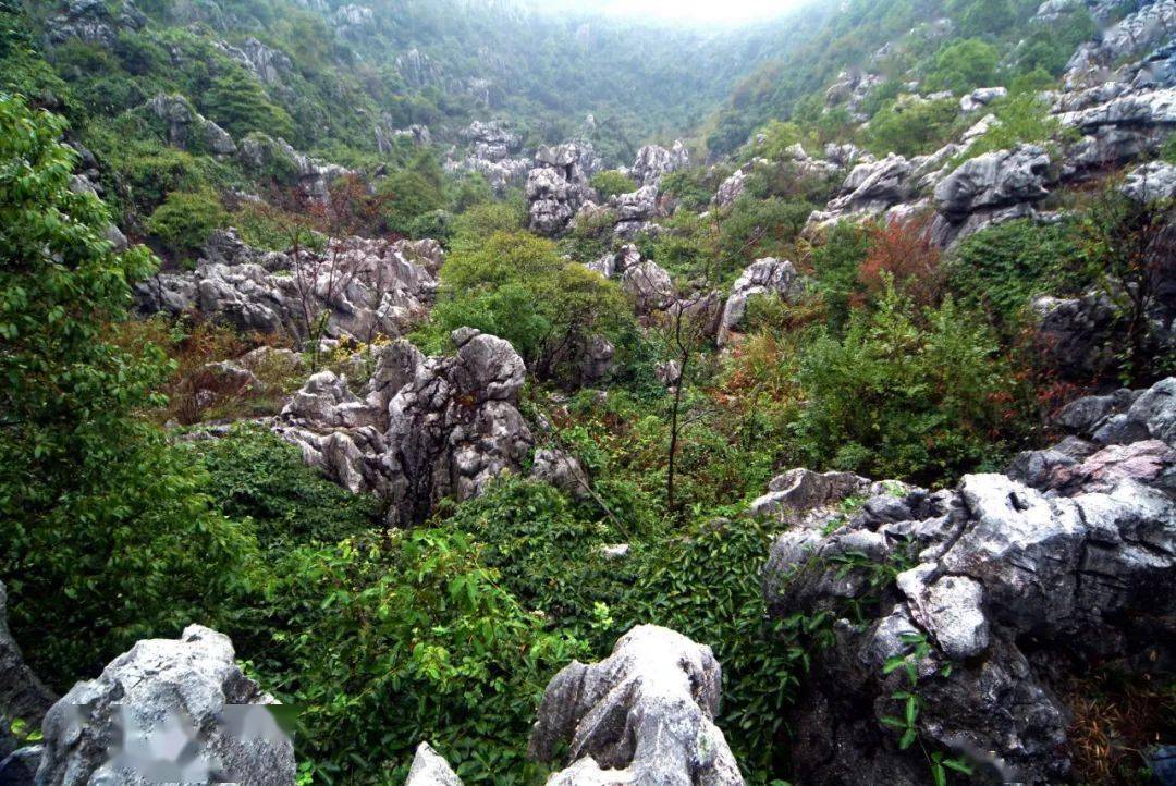 浙江衢州常山县 三衢山