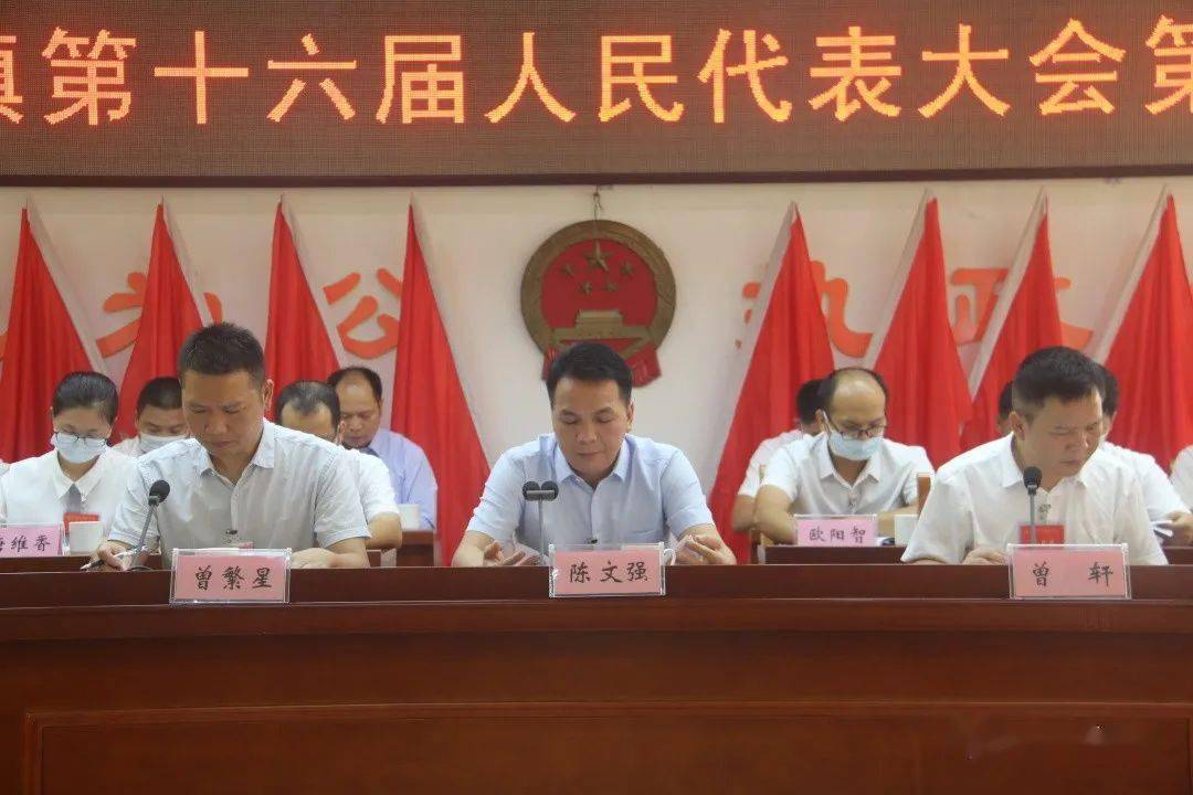 我市各镇陆续召开新一届人大一次会议_岑溪市