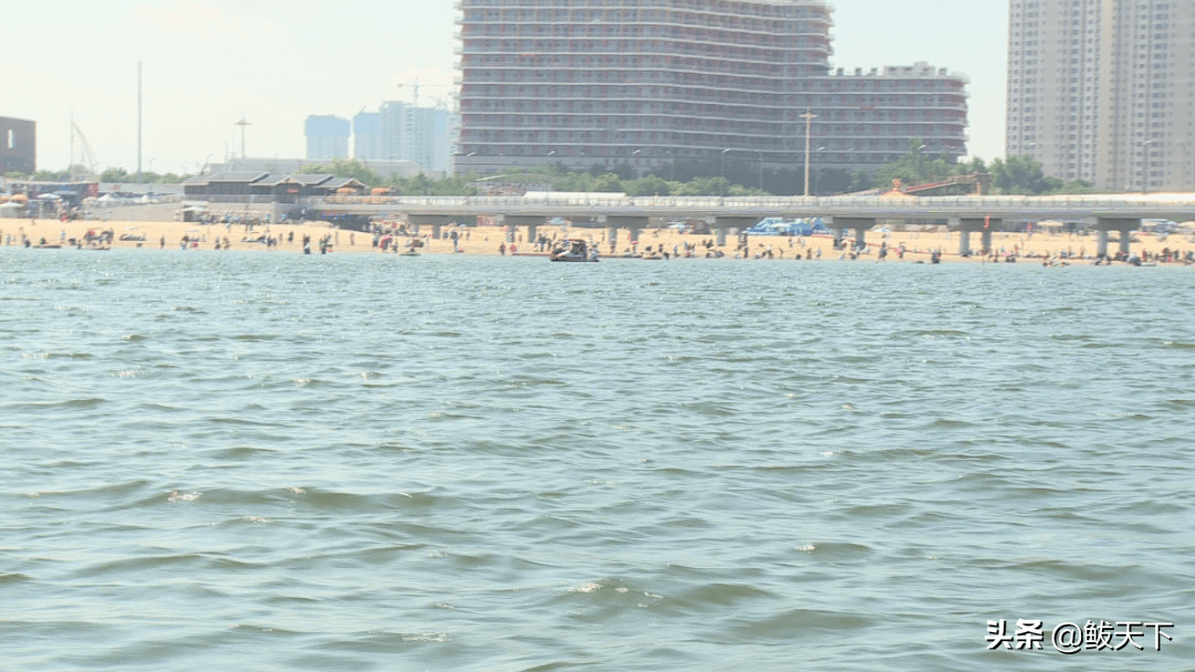 营口鲅鱼圈山海广场:织牢暑期防溺水安全网确保游览安全