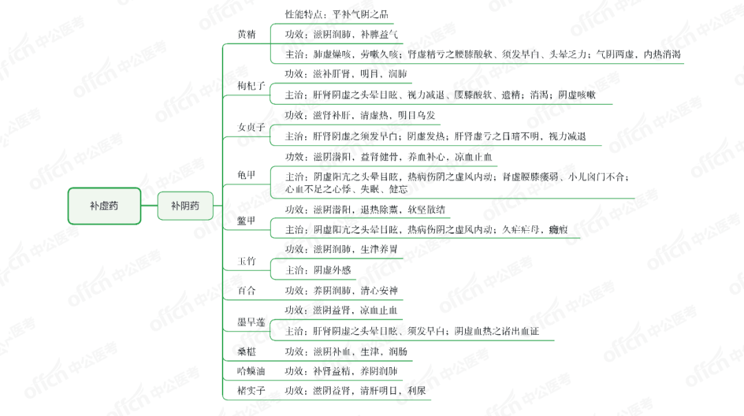 中药二补虚药思维导图总结推荐收藏精选