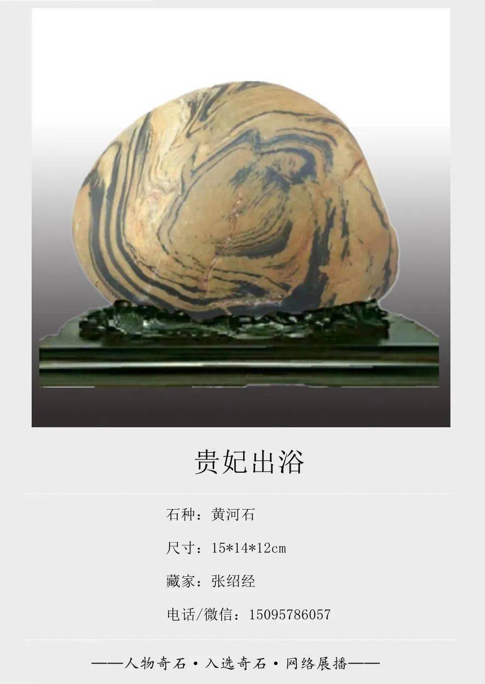 人物奇石展播开始了入展作品登场欢迎观展欣赏