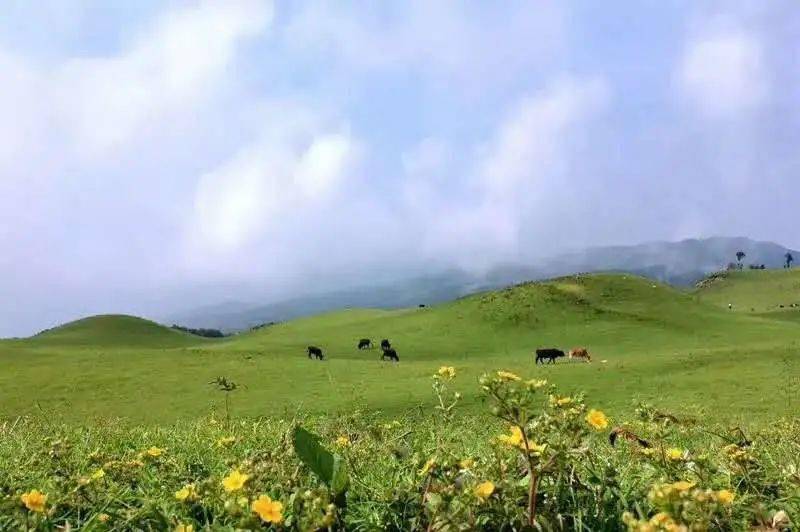 乡村旅游看临沧丨草山茶园修心旅游小环线_南美