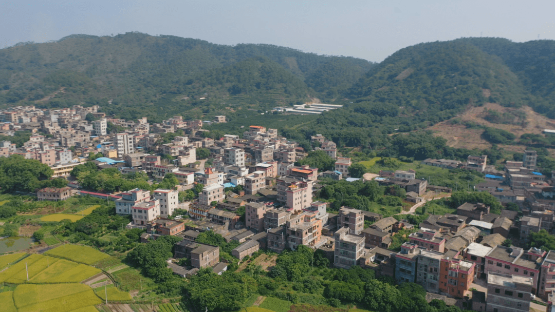 我的家乡大平山镇