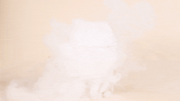 600_338