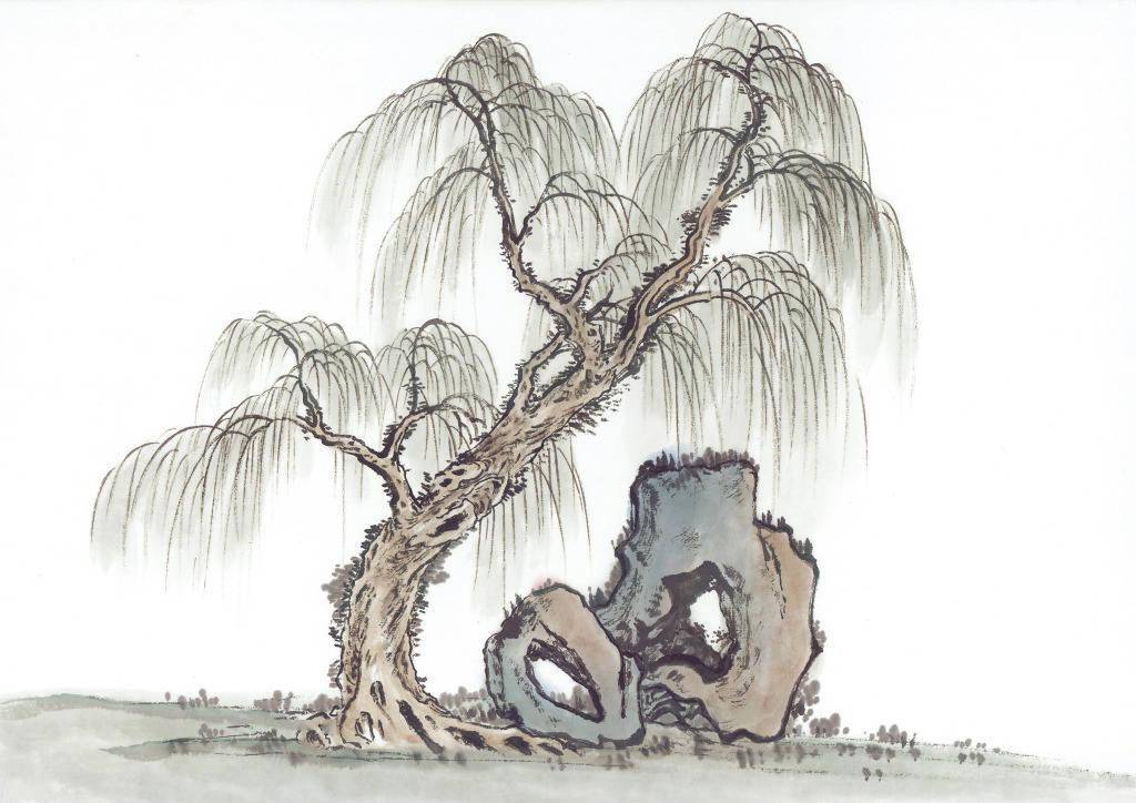 无心插柳柳成荫