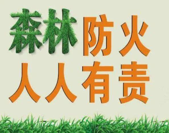 凯里市气象台8月2日16时发布未来24小时天气预报