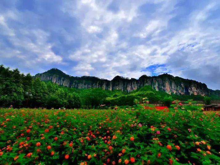 喜讯后岸村拟入选全国乡村旅游重点村