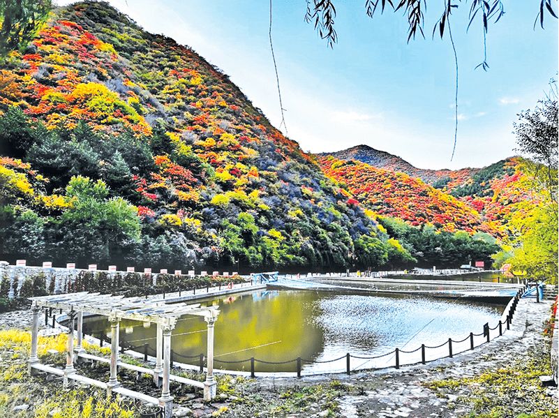 翠枫山自然风景区:品山之巍峨 赏水之灵秀