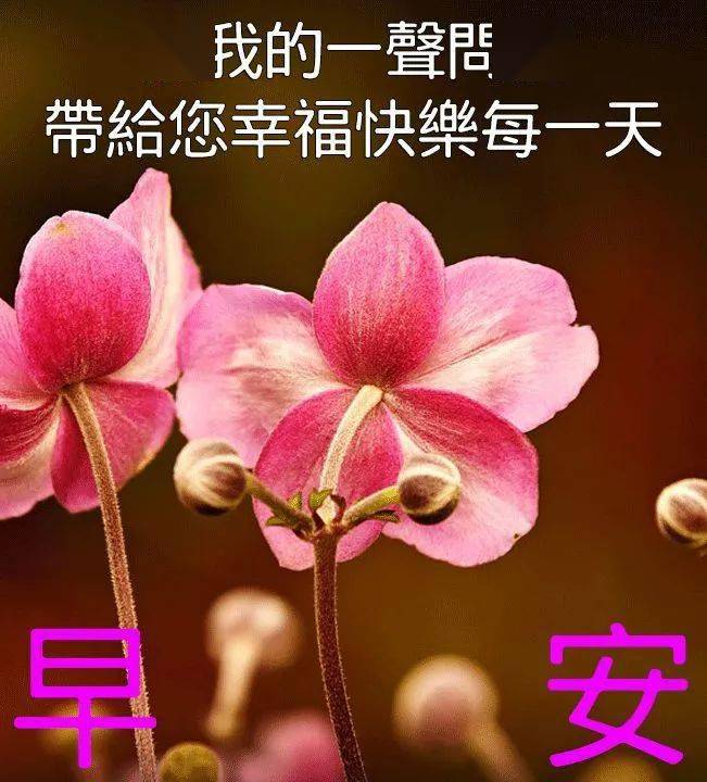 9张非常创意好看的友谊早上好问候图片带字温馨,2021唯美夏天早安问候