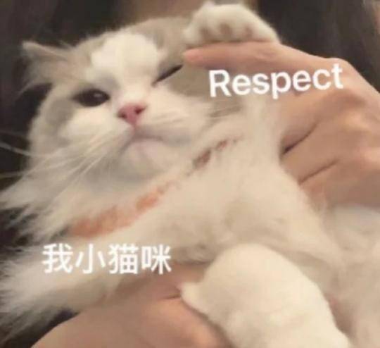情人节等不到礼物?但必然能等到《街舞4》开播