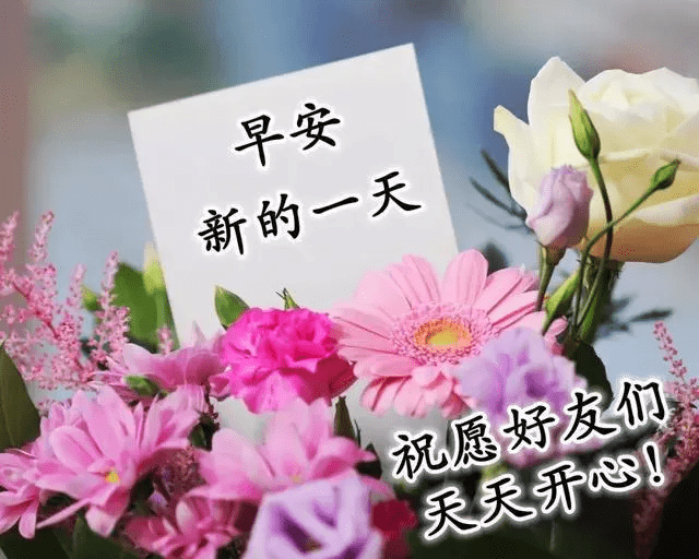 早安!美好的一天!            感,哲理,美文;敬请关注微信公众号