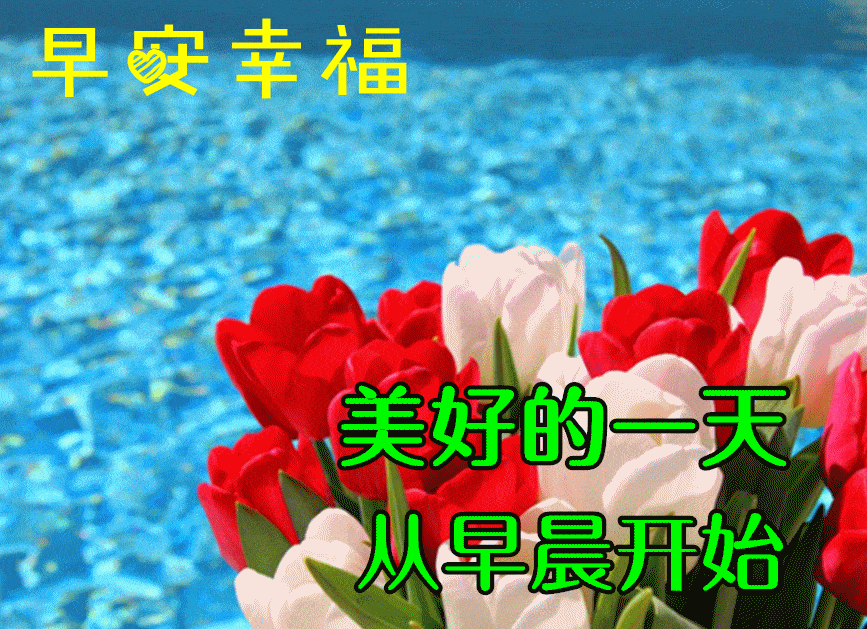 8月11日最漂亮早上好动态表情图片大全,早晨好动图美图大全