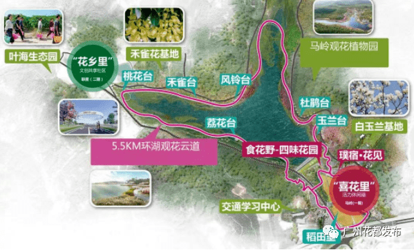 花都新网红打卡地规划亮相,看过来→_马岭
