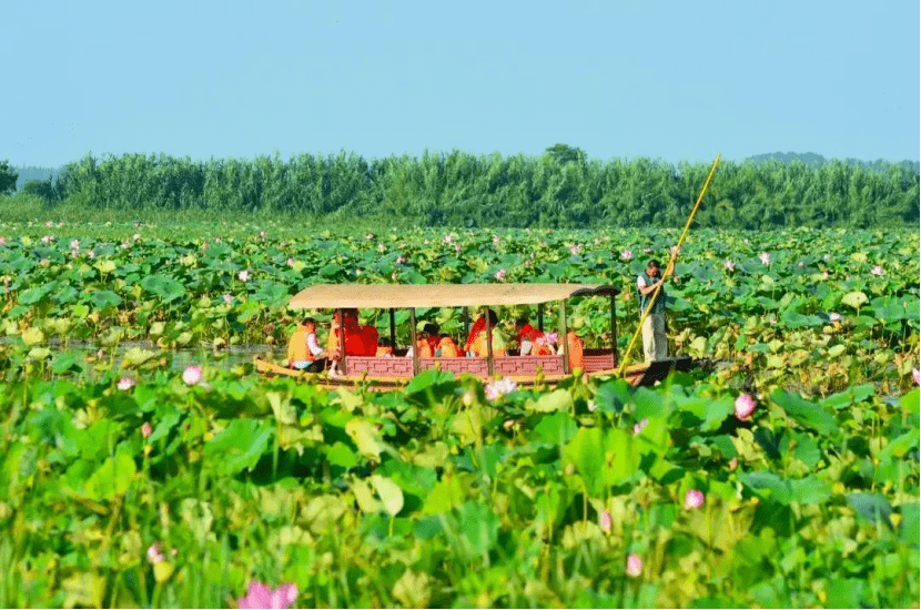 洪泽湖湿地景区