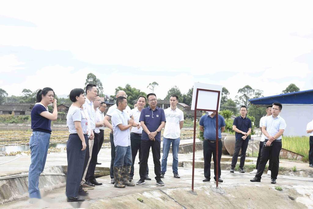 民革自贡市委会专题调研荣县开展乡村振兴_观山镇